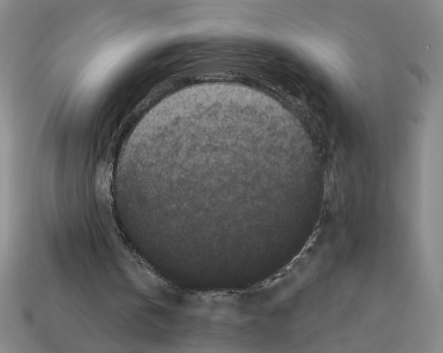 X0000112800146200910021127