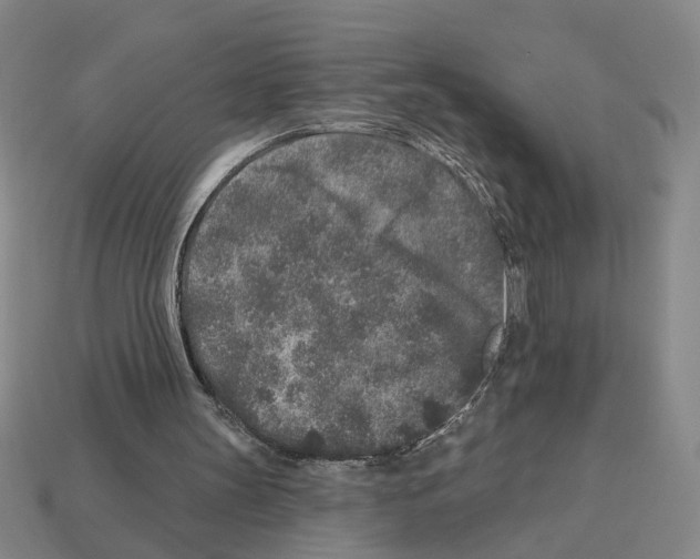 X0000112800147200910021127