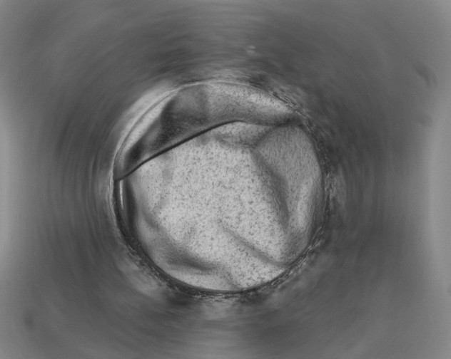 X0000112800148200910021127