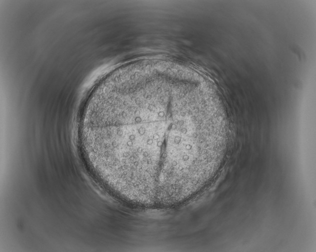 X0000112800149200910021127