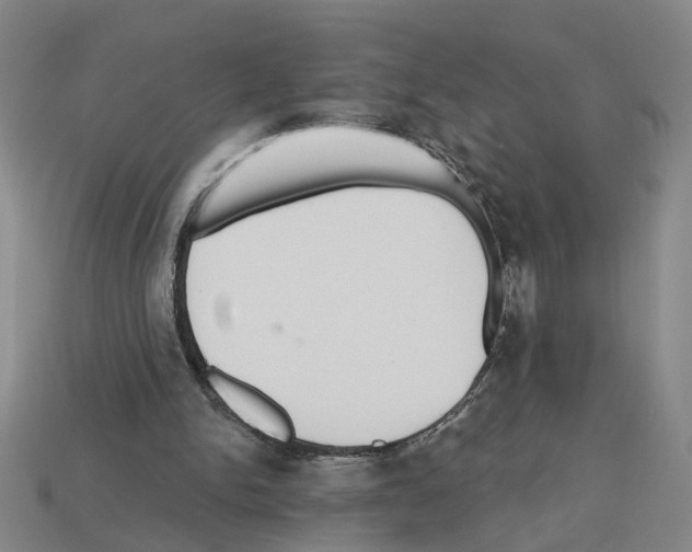 X0000112800150200910021127
