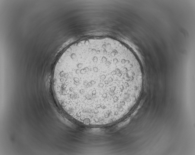 X0000112800153200910021127