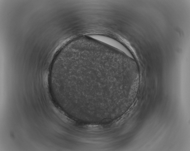 X0000112800154200910021127
