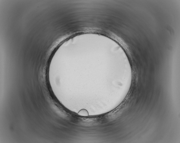 X0000112800155200910021127