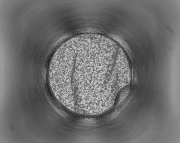 X0000112800157200910021127