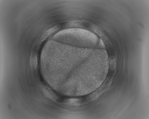 X0000112800158200910021127