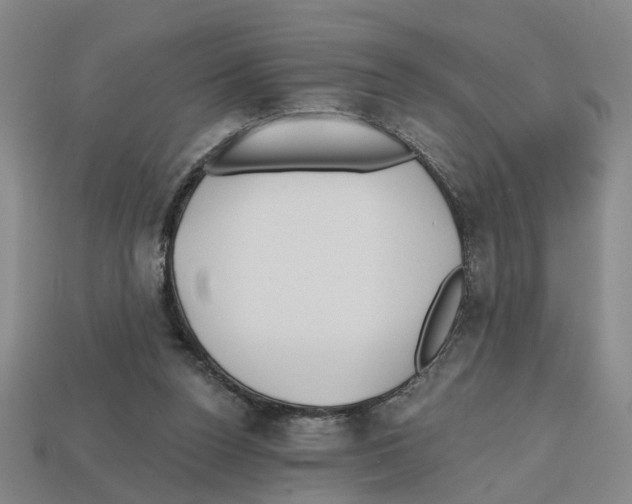 X0000112800160200910021127