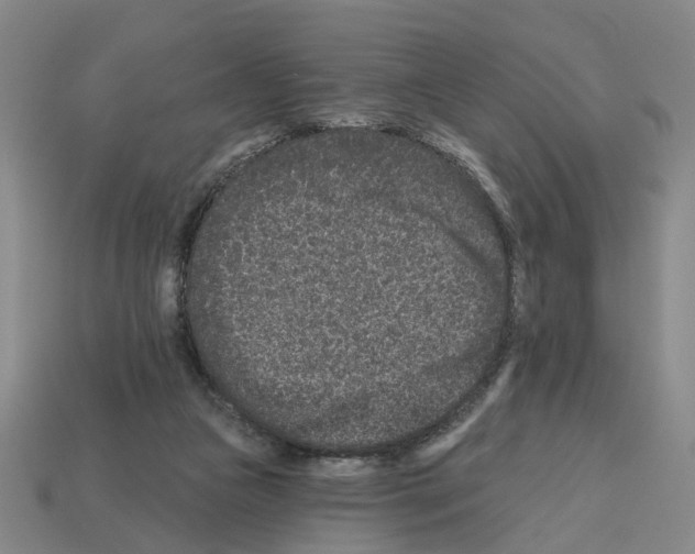 X0000112800161200910021127