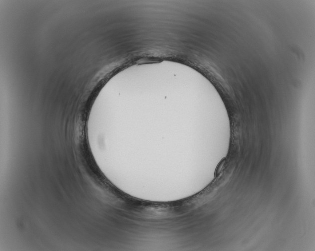 X0000112800164200910021127