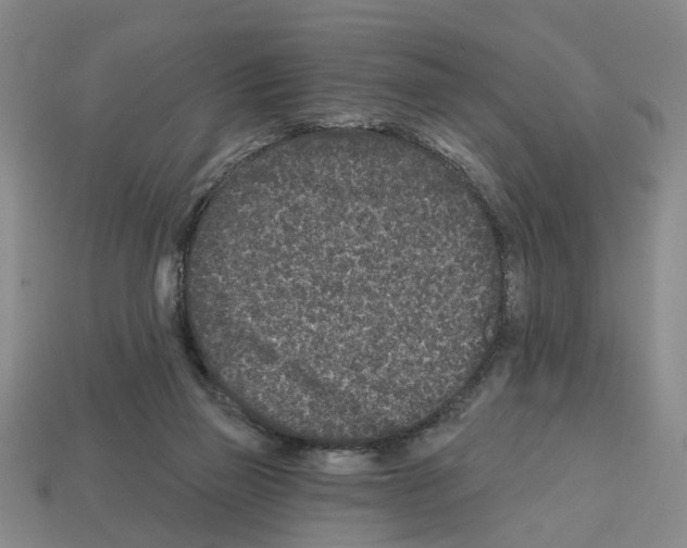 X0000112800165200910021127