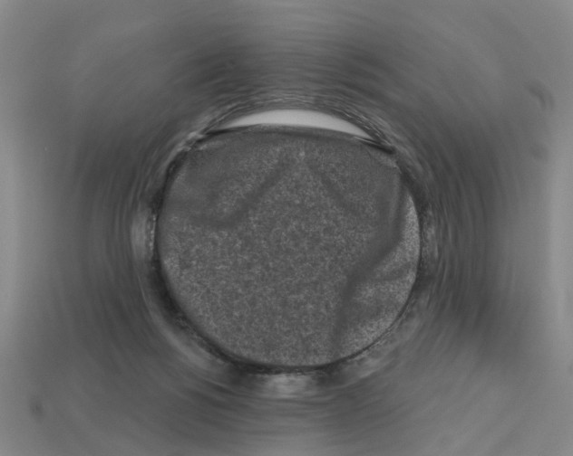 X0000112800168200910021127