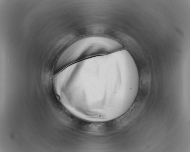 X0000112800172200910021127