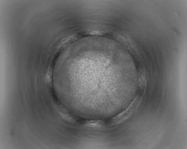 X0000112800175200910021127