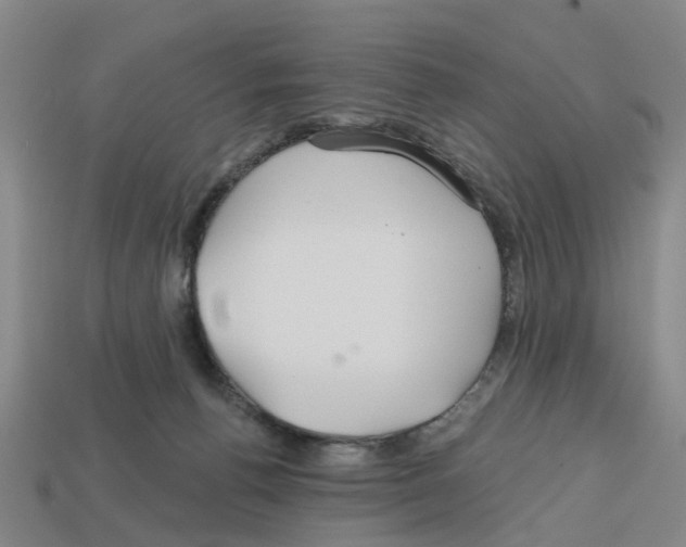 X0000112800176200910021127