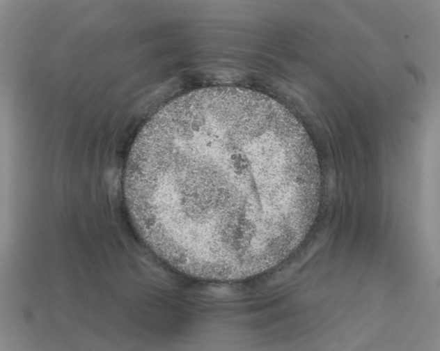 X0000112800177200910021127