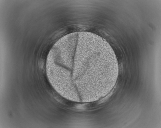 X0000112800178200910021127