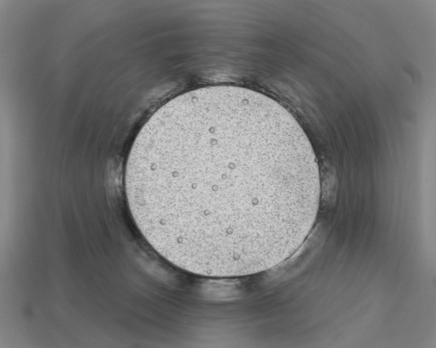 X0000112800179200910021127