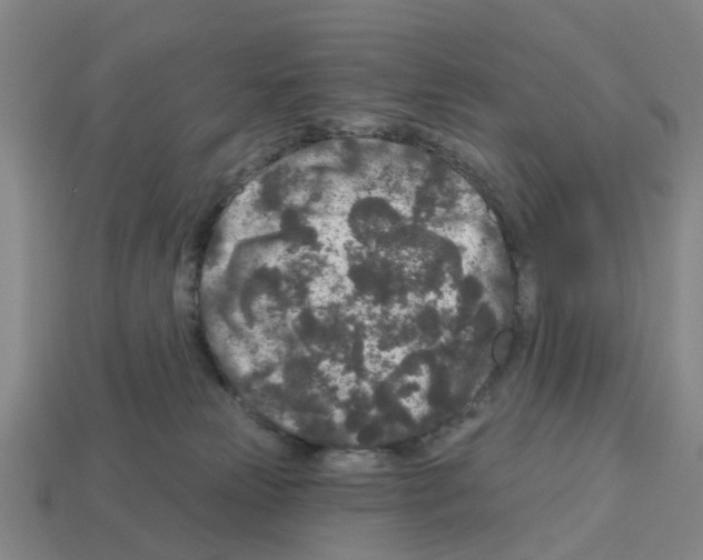 X0000112800181200910021127