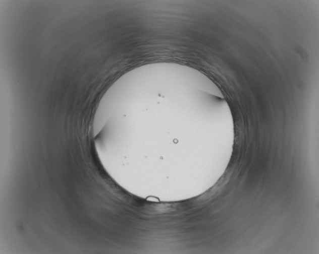 X0000112800184200910021127