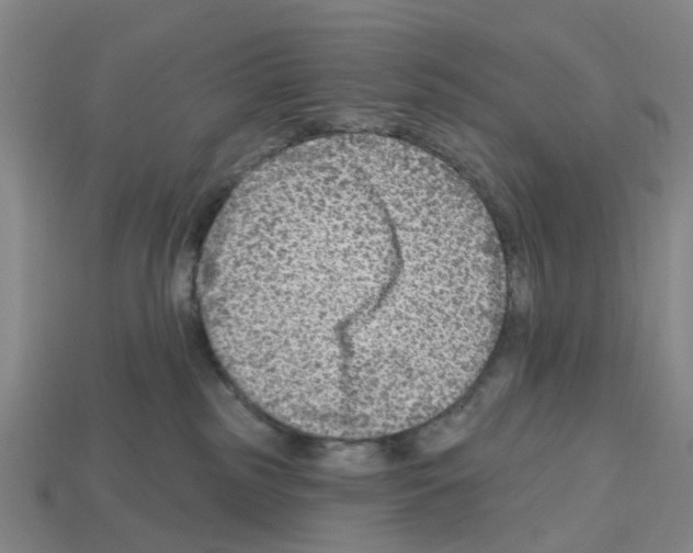 X0000112800185200910021127