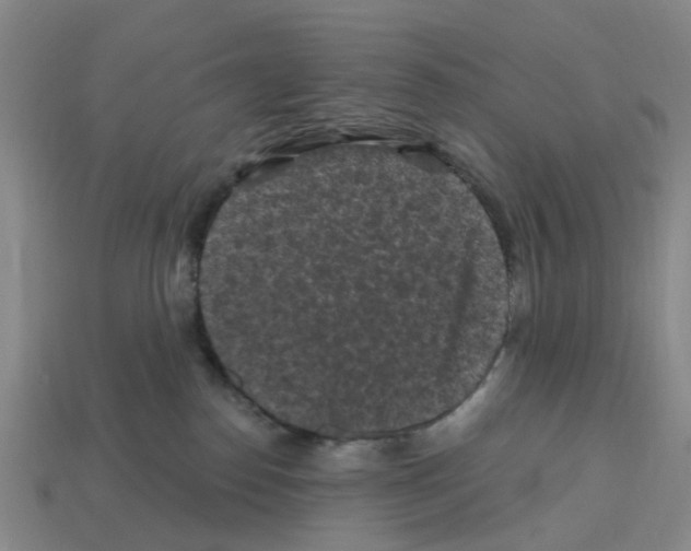 X0000112800186200910021127