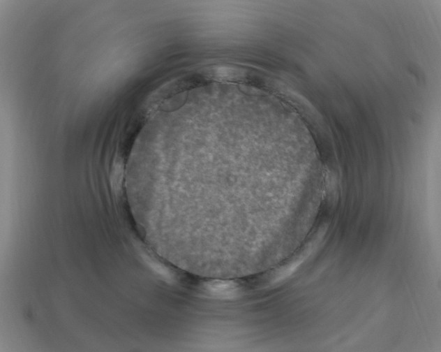 X0000112800189200910021127