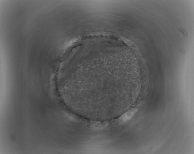 X0000112800192200910021127