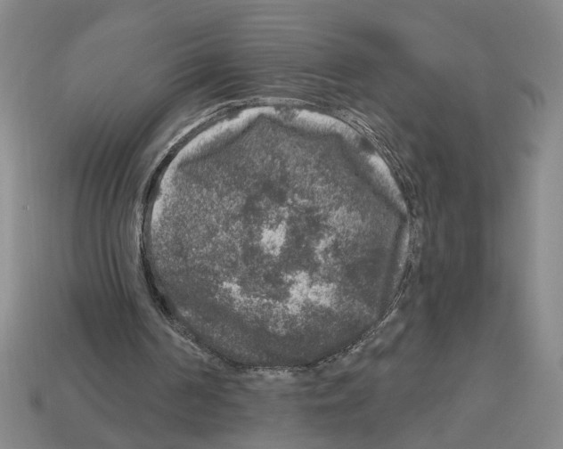 X0000112800194200910021127