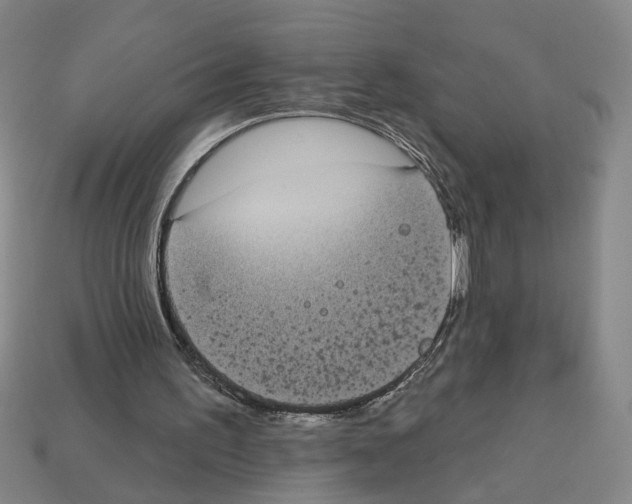X0000112800195200910021127