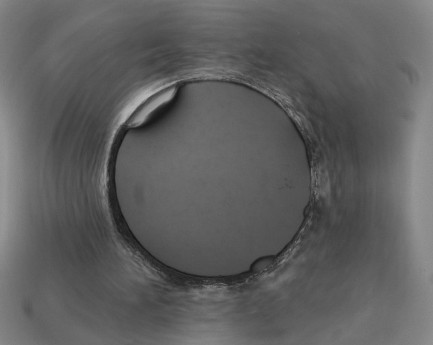 X0000112800196200910021127