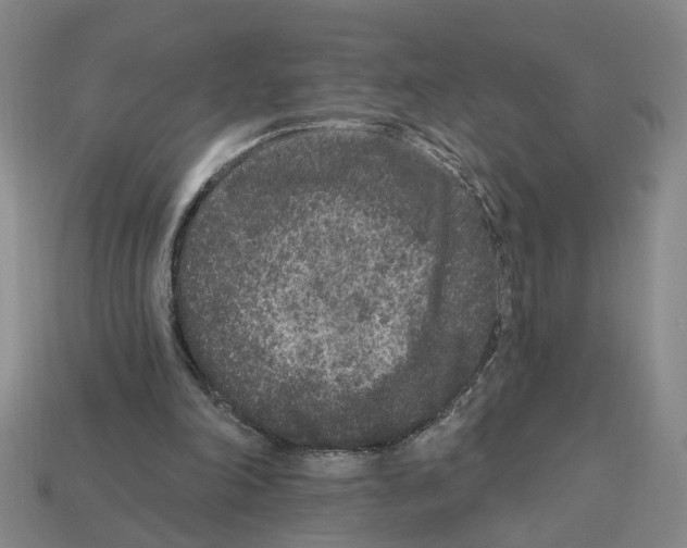 X0000112800198200910021127
