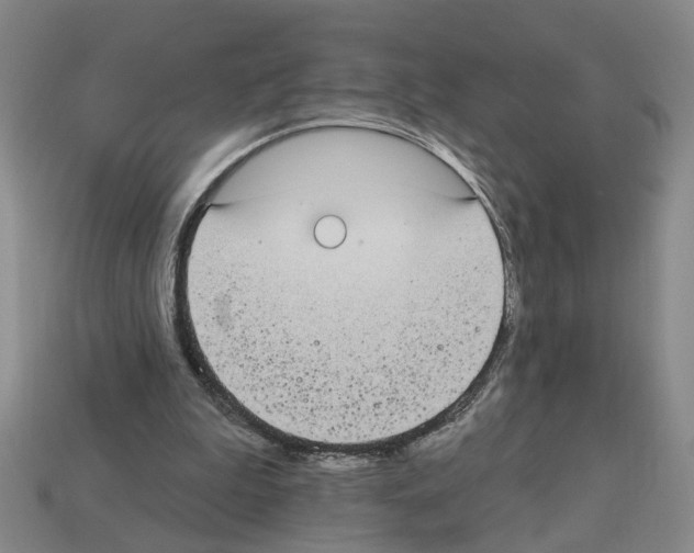 X0000112800199200910021127