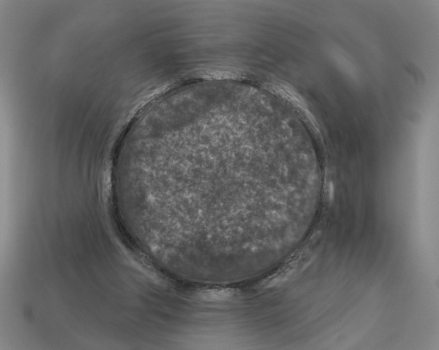 X0000112800202200910021126