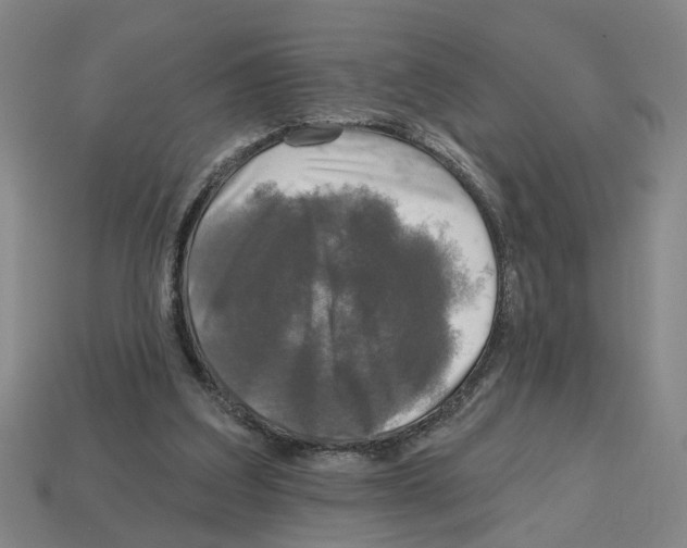 X0000112800203200910021126