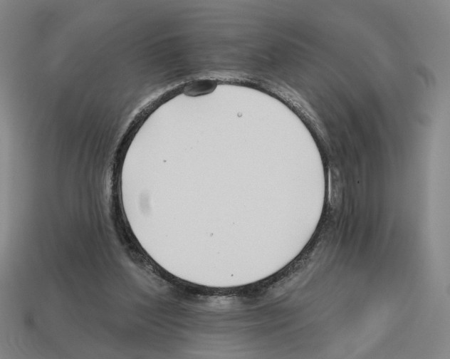 X0000112800204200910021126