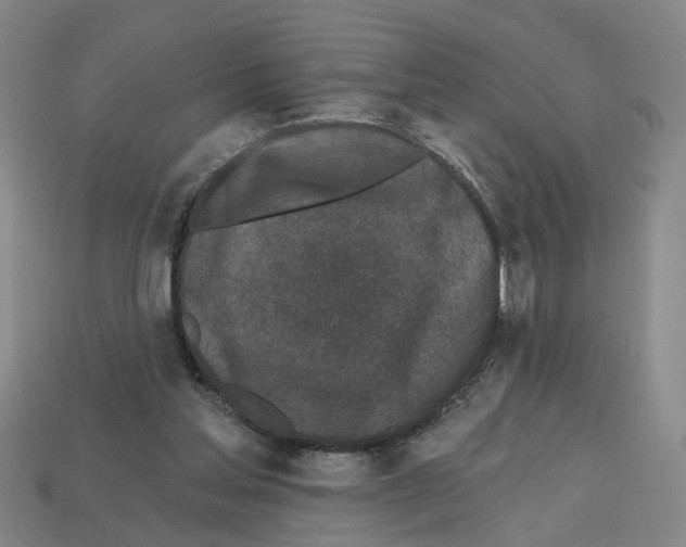 X0000112800205200910021126