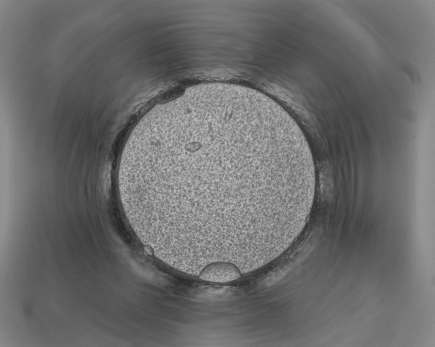 X0000112800206200910021126