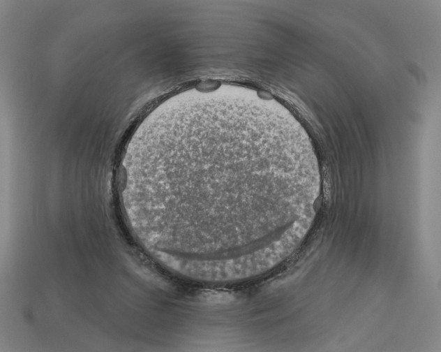 X0000112800207200910021126