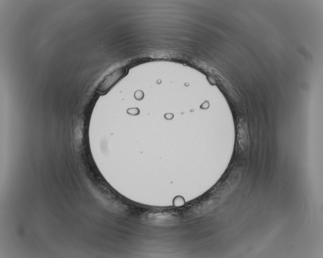 X0000112800208200910021126