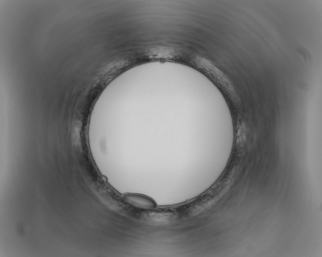 X0000112800209200910021126