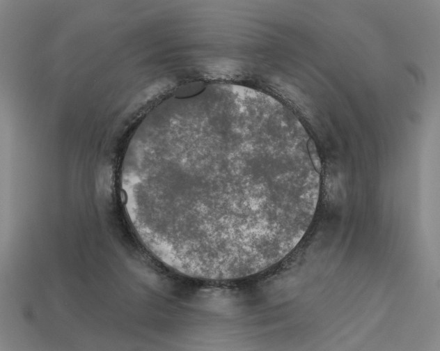 X0000112800211200910021126