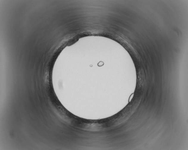 X0000112800212200910021126