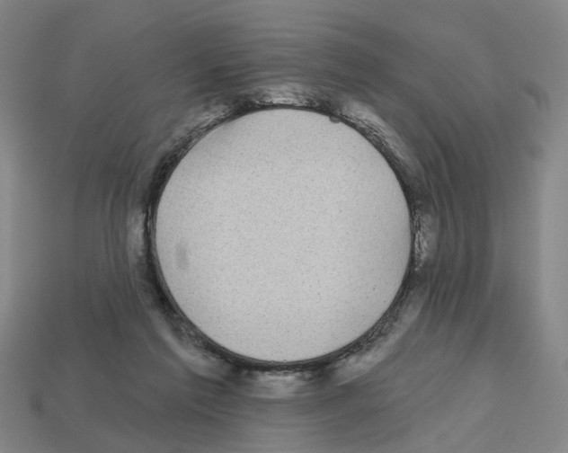 X0000112800213200910021126