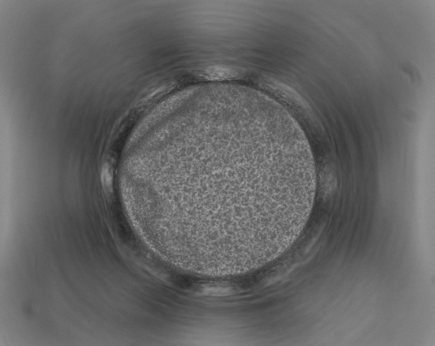 X0000112800214200910021126