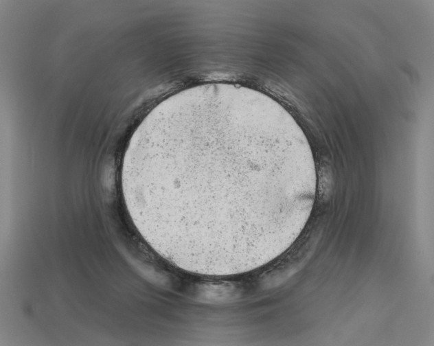 X0000112800215200910021126
