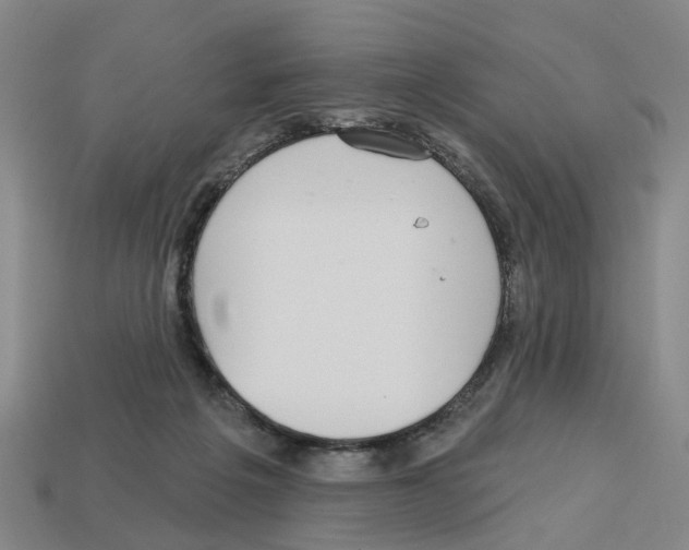 X0000112800217200910021126