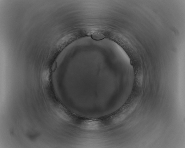 X0000112800219200910021126
