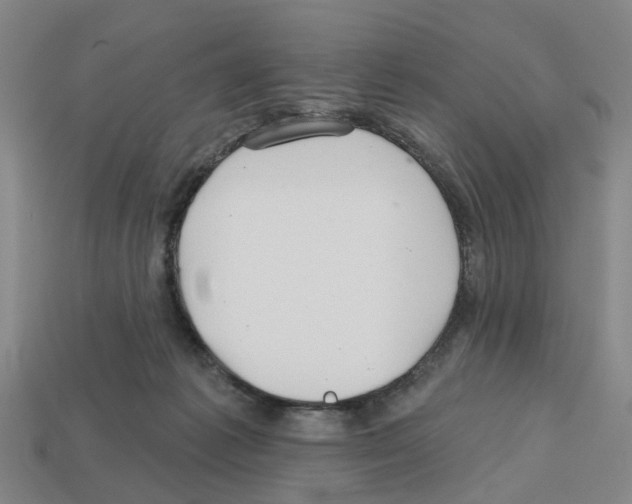 X0000112800221200910021126