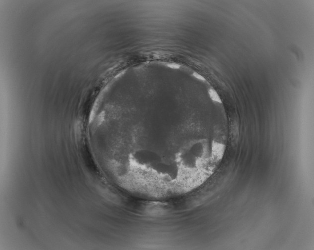 X0000112800222200910021126