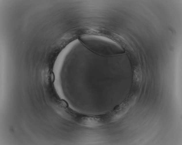 X0000112800223200910021126
